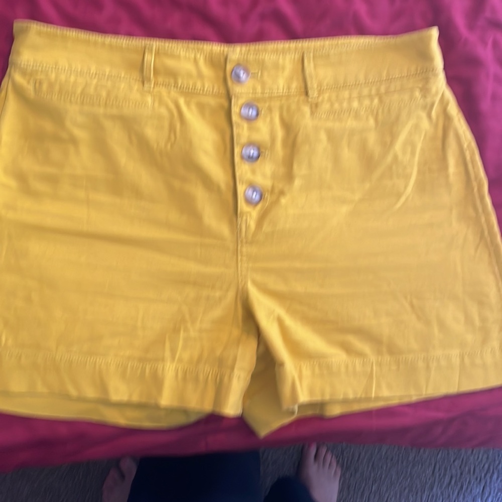 Loft shorts - Picture 3 of 4